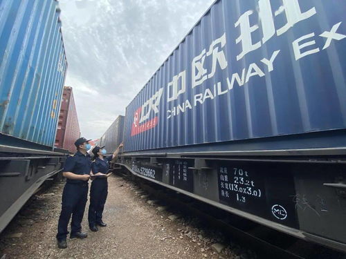 國(guó)際海關(guān)日 守護(hù)國(guó)門，全力以赴保障供應(yīng)鏈穩(wěn)定高效