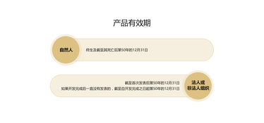 全面解析中國版權(quán)登記 流程、費(fèi)用與專業(yè)代理服務(wù)指南